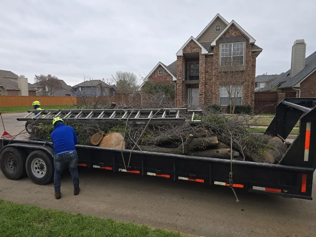 Expert Tree Fertilization with proper safety equipment in Lohrville